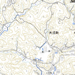 523742 東大沼 （ひがしおおぬま Higashionuma）, 地形図