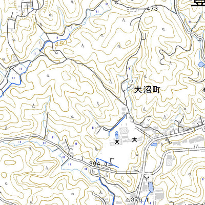523742 東大沼 （ひがしおおぬま Higashionuma）, 地形図