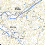 523742 東大沼 （ひがしおおぬま Higashionuma）, 地形図