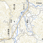 523764 根羽 （ねば Neba）, 地形図