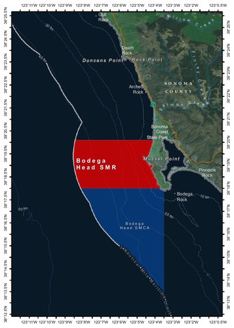 Bodega Head