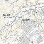 513211 岩国 （いわくに Iwakuni）, 地形図