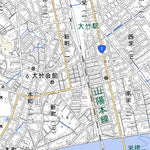 513221 大竹 （おおたけ Otake）, 地形図