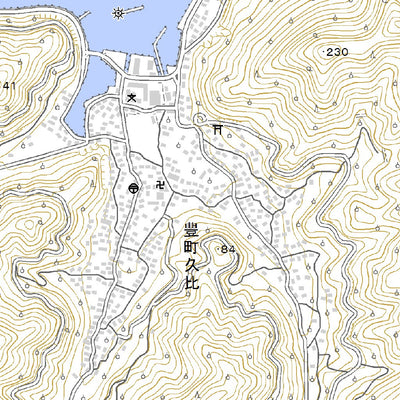 513226 大長 （おおちょう Ocho）, 地形図