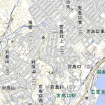 513232 厳島 （いつくしま Itsukushima）, 地形図