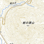 553975 大芦 （おおあし Oashi）, 地形図