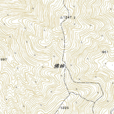 533814 精進 （しょうじ Shoji）, 地形図