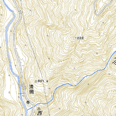 533822 奈良田 （ならだ Narada）, 地形図