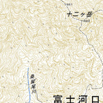 533825 河口湖西部 （かわぐちこせいぶ Kawaguchikoseibu）, 地形図