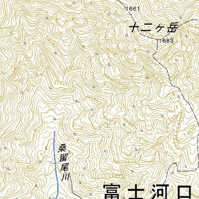 533825 河口湖西部 （かわぐちこせいぶ Kawaguchikoseibu）, 地形図