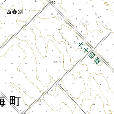 654406 西春別 （にししゅんべつ Nishishumbetsu）, 地形図
