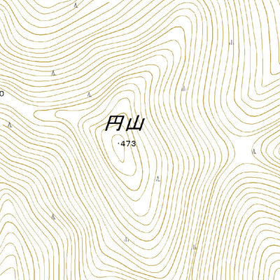 664506 国後島（くなしりとう Kunashiritou）, 地形図