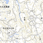 492970 宇久島 （うくじま Ukujima）, 地形図