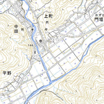 533407 直見 （なおみ Naomi）, 地形図