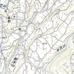 543843 車坂峠 （くるまざかとうげ Kurumazakatoge）, 地形図