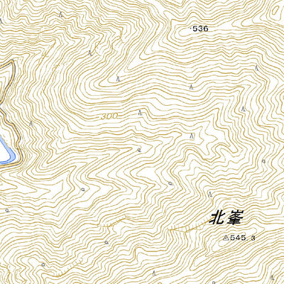 503442 小川口 （おがわぐち Ogawaguchi）, 地形図
