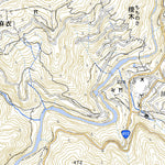 503471 阿波川井 （あわかわい Awakawai）, 地形図