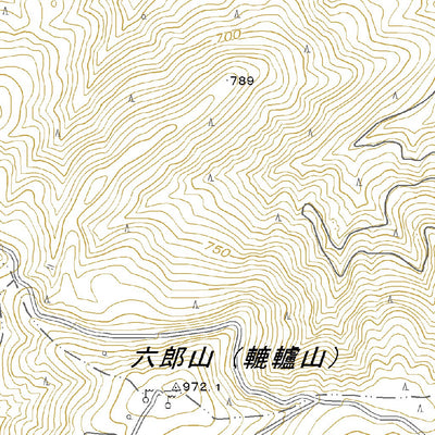 503473 阿波三溪 （あわみたに Awamitani）, 地形図