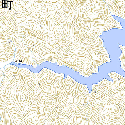 533643 美濃徳山 （みのとくやま Minotokuyama）, 地形図