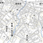 634014 渡島森 （おしまもり Oshimamori）, 地形図