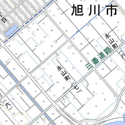 654253 永山 （ながやま Nagayama）, 地形図