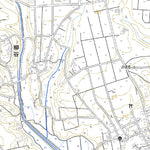 473007 大隅高山 （おおすみこうやま Osumikoyama）, 地形図