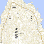 473011 片浦 （かたうら Kataura）, 地形図