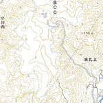 473054 蒲生 （かもう Kamo）, 地形図