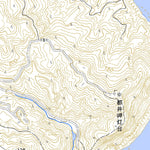 473102 都井岬 （といみさき Toimisaki）, 地形図