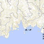 493207 足摺岬 （あしずりみさき Ashizurimisaki）, 地形図