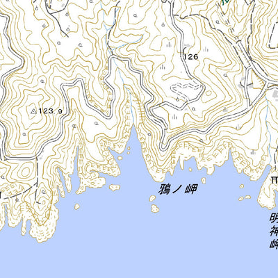 493207 足摺岬 （あしずりみさき Ashizurimisaki）, 地形図