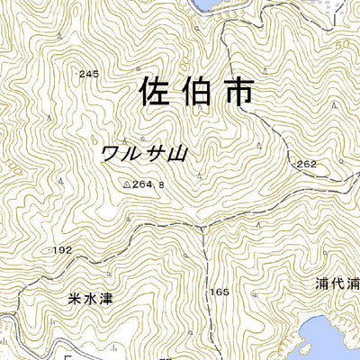 493230 鶴御崎 （つるみさき Tsurumisaki）, 地形図