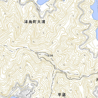 493243 魚神山 （ながみやま Nagamiyama）, 地形図