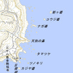 493300 窪川 （くぼかわ Kubokawa）, 地形図