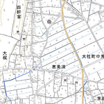 533205 大社 （たいしゃ Taisha）, 地形図