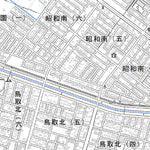 644442 大楽毛 （おたのしけ Otanoshike）, 地形図