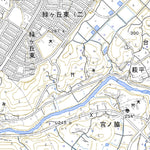 564003 郡山 （こおりやま Koriyama）, 地形図