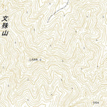 564071 糠野目 （ぬかのめ Nukanome）, 地形図