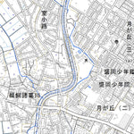 594140 小岩井農場 （こいわいのうじょう Koiwainojo）, 地形図