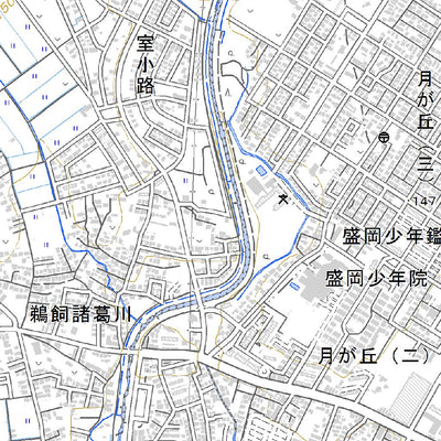 594140 小岩井農場 （こいわいのうじょう Koiwainojo）, 地形図