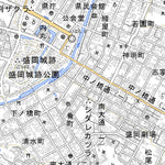 594141 盛岡 （もりおか Morioka）, 地形図