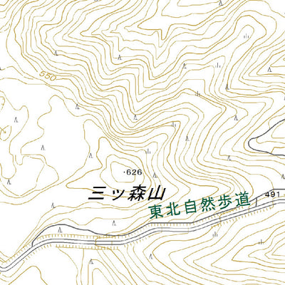 594160 大更 （おおぶけ Obuke）, 地形図