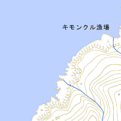 674733 紗那 （しゃな Syana）, 地形図