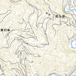 513411 西赤谷 （にしあかだに Nishiakadani）, 地形図