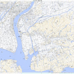 513470 西大寺 （さいだいじ Saidaiji）, 地形図