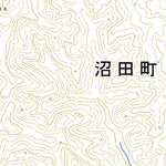 654167 恵比島 （えびしま Ebishima）, 地形図