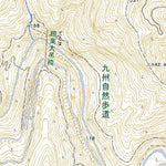 483101 大森岳 （おおもりだけ Omoridake）, 地形図