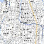 483113 妻 （つま Tsuma）, 地形図
