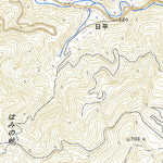 483143 坪谷 （つぼや Tsuboya）, 地形図