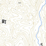 654304 上利別 （かみとしべつ Kamitoshibetsu）, 地形図